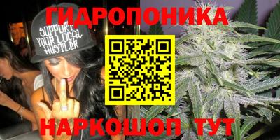 индика Павлово